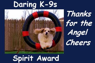 Daring K-9 Cheer Award