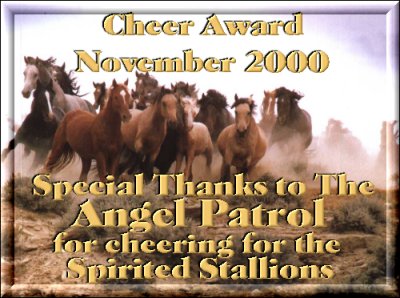 Spirited Stallions Cheer Award
