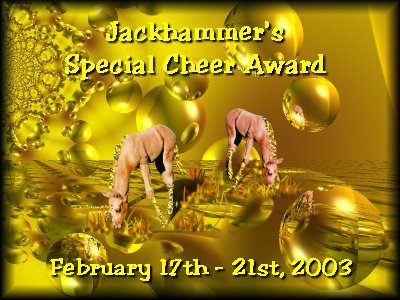 Special Cheer Award