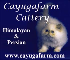 Cayugafarm Cattery