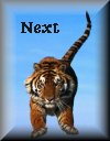 next.gif