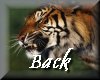 back.gif