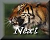next.gif