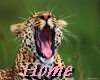 home.gif