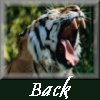 back.gif