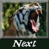 next.gif