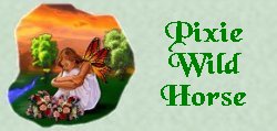 Pixie Wild Horse