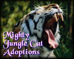 The Mighty Jungle Cats
