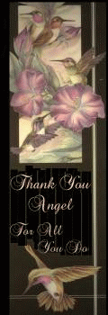 Angel Patrol Award