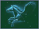 Unicorn.jpg