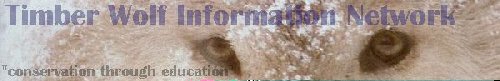 Timber Wolf Information Network